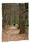http://lars.fickus.com